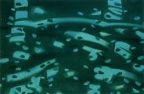 Piers 6