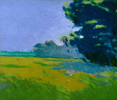 Mustard Field 
